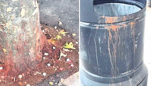 Indians blamed as paan stains dot London streets