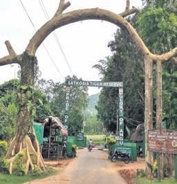 SC seeks Centre, state replies on illegal constructions in Satkosia