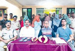 Forest officials seize 4 elephant tusks, nab 5