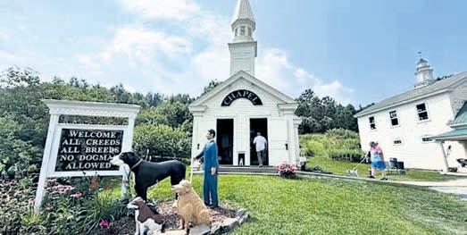 Massive mountain park celebrates bond between dogs, their humans