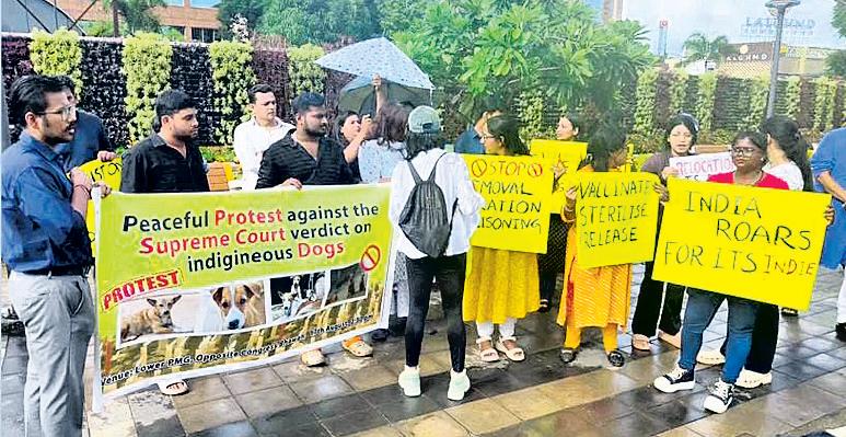 Court's stray dogs rulings opposed