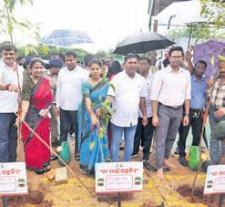 BMC launches major plantation drive in Patrapada