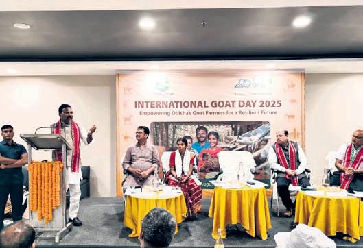 Chanchala's journey: From goat farmer to inspiration