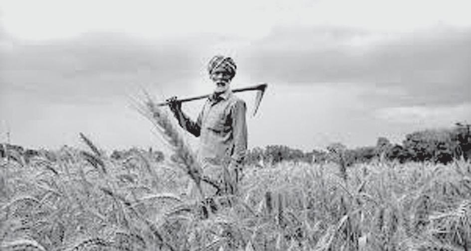 ADDRESSING FARM DISTRESS