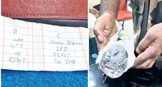 Pigeon carrying chit to blow up Jammu railway station caught