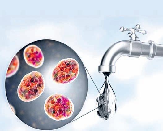 HKM launches state-wide campaign