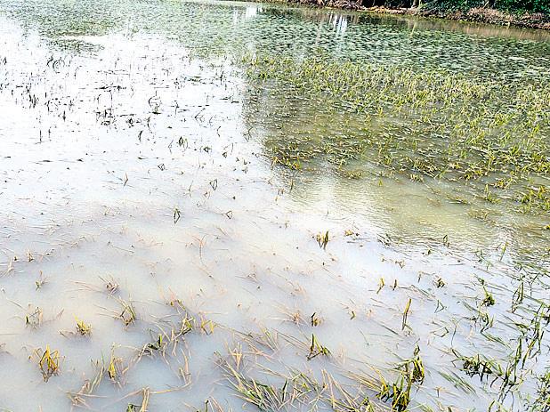100 villages still marooned for 5th day