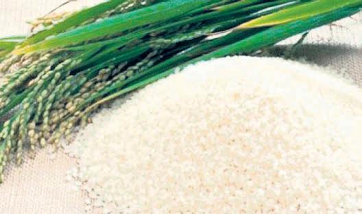 India pushes rice exports to Philippines