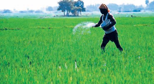 No fertiliser shortage, Govt assures farmers