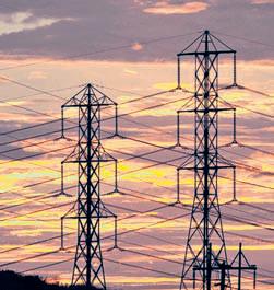 IEX electricity trade rises