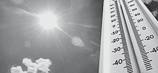 BEATING THE HEAT