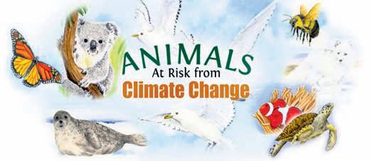 Warming temperatures can impact animals’ reproduction: Studies