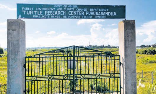 State’s first turtle research centre still a distant dream