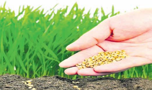Seed industry seeks regulatory relief