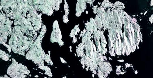 First images from NISAR show forests, wetlands, islets in US