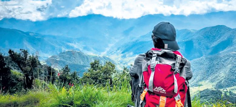 Travel, tourism to support 9 crore new jobs by 2035: WTTC