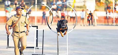 Lucknow launches street dog training centre