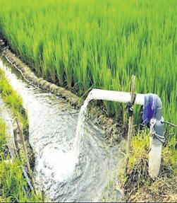 Irrigation boost for 33,968 ha in Tatiguda area of Malkangiri