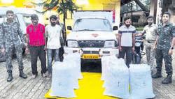 Over 1 quintal cannabis found hidden in truck
