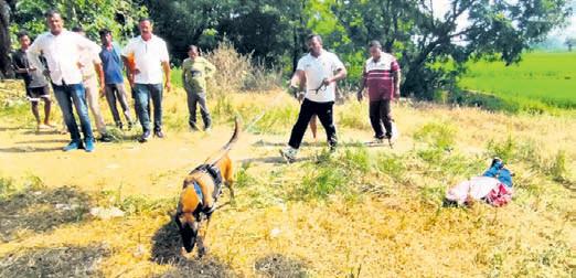 Body discovered with throat slit; probe on