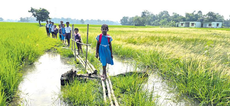 Students cross bamboo bridge, trudge through mud to school