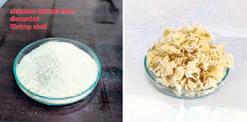 Odia scientist patents process to get chitosan from shrimp waste