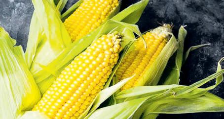Corn, soybean at heart of Indo-US trade talks