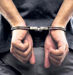 Mangrove resembling sandalwood seized; nine smugglers held