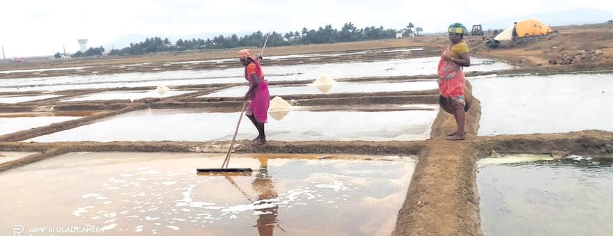 Chorus grows loud for revival of Ganjam's abandoned salt pans
