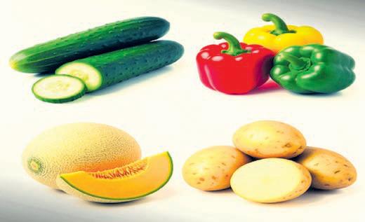 Polyhouse farming in Punjab can earn ₹14l