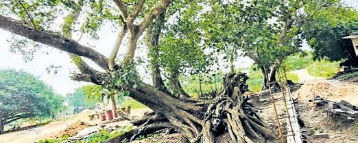 This day that year: Victims of ’99 super cyclone revisit fateful day