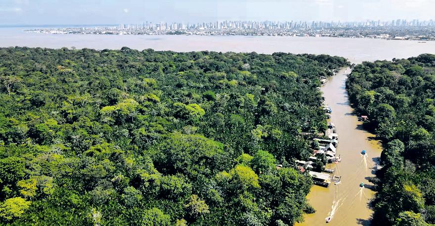 A climate 'time machine' to predict Amazon's future