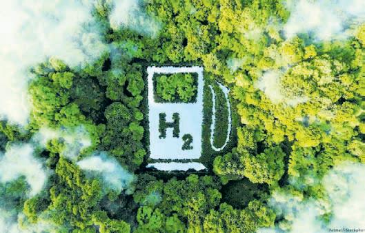 India to emerge as world's green hydrogen hub: Kant
