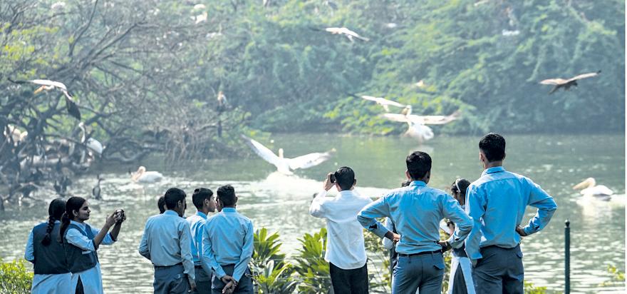 Delhi zoo draws over 15K visitors on 2nd day