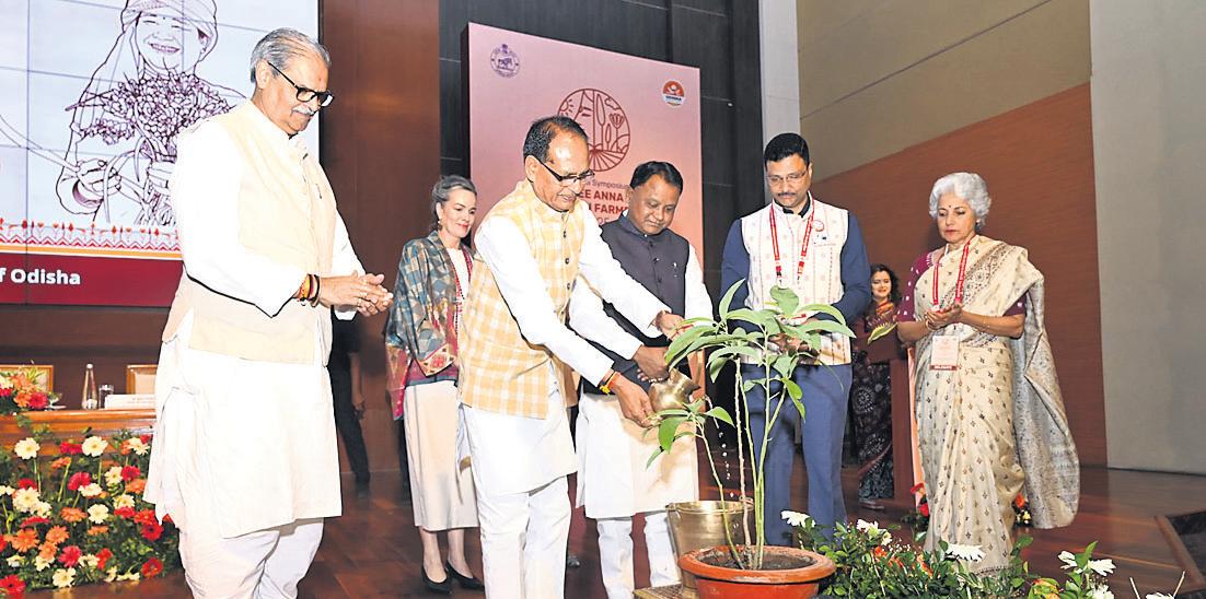 Chouhan asks agri scientists to develop high-quality millet seeds