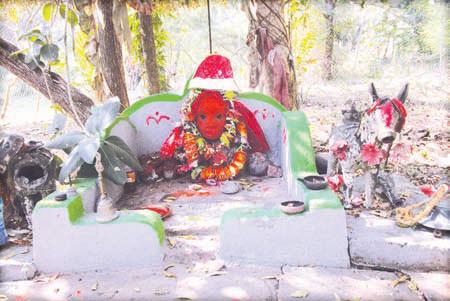 Climate change threatens Barunei Island in Kendrapara