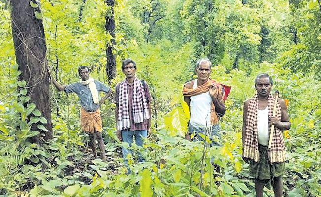 CALL TO INTENSIFY CAMPAIGN FOR LAND, WATER & FOREST RIGHTS