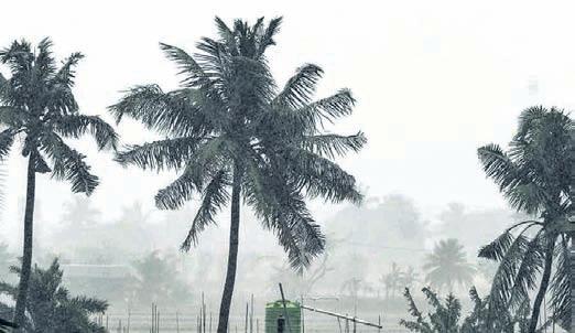 Odisha on alert as BoB system may intensify into cyclone