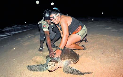 Ex-hunter turns protector of Angola’s endangered sea turtles