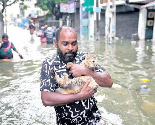 SL declares emergency