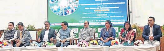 Experts push for sustainable tech solutions to achieve SDGs