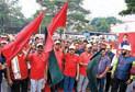 Awareness rally held on World AIDS Day