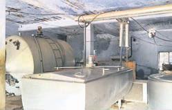 Andhra firms ‘milk’ as dairy processing centre goes to dogs