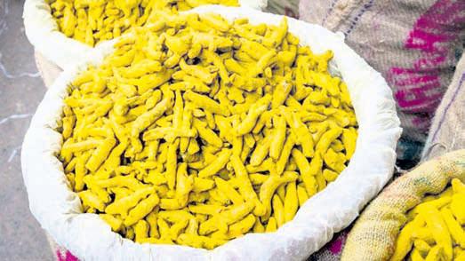 Maha turmeric farmer becomes entrepreneur