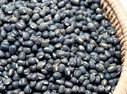 NAFED to open 50 urad procurement centres