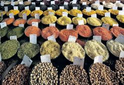 WPI stays in negative despite food price rise