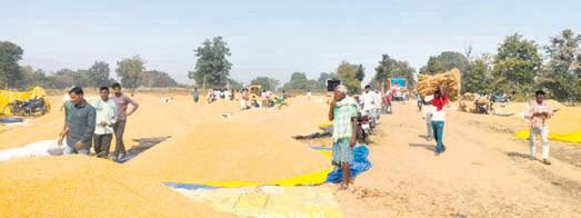 Min Patra reviews paddy procurement