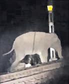 JUMBO CALF ELECTROCUTED