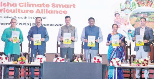Inception workshop to formalise CSA Alliance