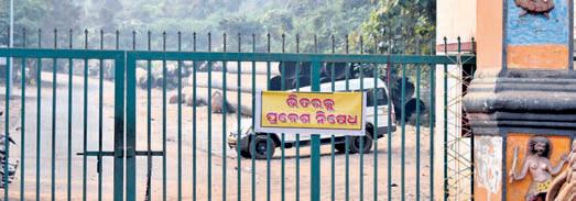 TUSKER SIGHTING HALTS SIKHARCHANDI PICNICS